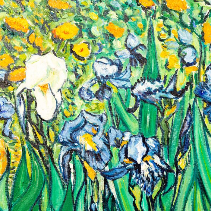 Irises - Image 2