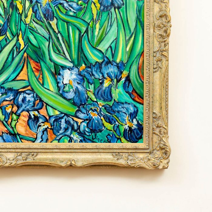 Irises - Image 3